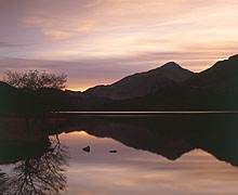 Llyn Gwynant