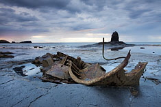Full Day Workshops. Click for more details