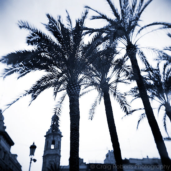 Valencia blue
