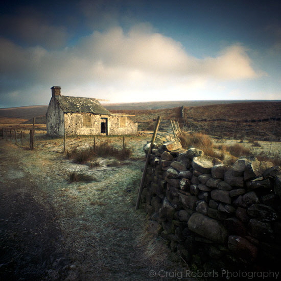 Cottage III 