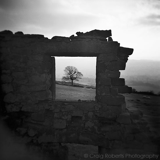 Perfectly framed